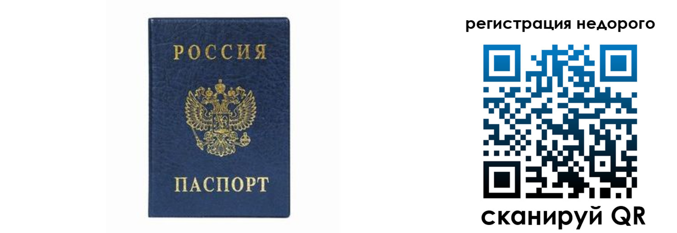 прописка штамп в Волгограде